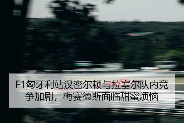 xiong-ya-li-zhan-han-mi-er-dun-yu-la-sai-er-dui-nei-jing-zheng-jia-ju-mei-sai-de-si-mian-lin-tian-mi-fan-nao-2-295.jpg