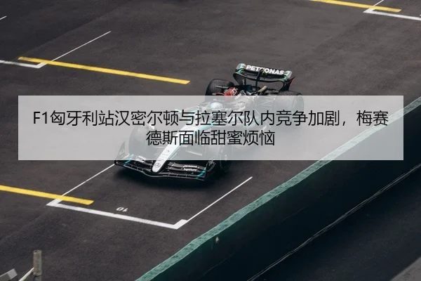xiong-ya-li-zhan-han-mi-er-dun-yu-la-sai-er-dui-nei-jing-zheng-jia-ju-mei-sai-de-si-mian-lin-tian-mi-fan-nao-3-281.jpg