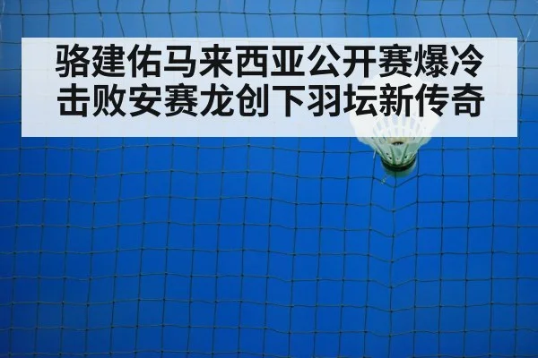 badminton net shot