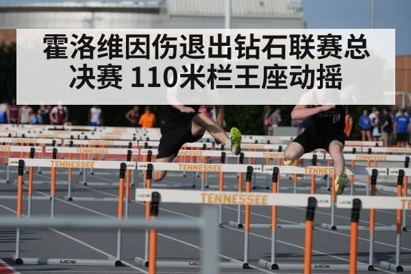 霍洛维因伤退出钻石联赛总决赛 110米栏王座动摇